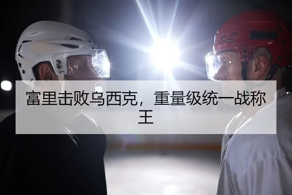 富里击败乌西克，重量级统一战称王